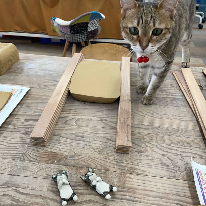 E80a99af fd9f 406c 9fac b7bf1afc6e90 1721305506446