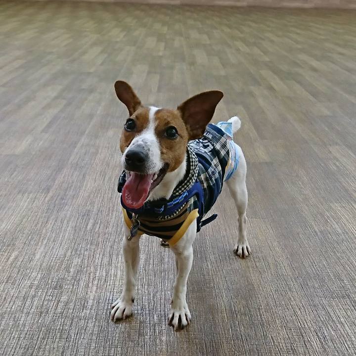 E80acd8f 1ce9 4df0 b31f 24e1f70ac202 1526719729416