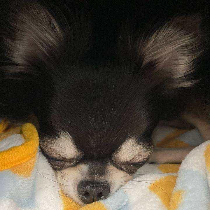 E80ad863 1a8b 4e19 baeb ab760142a31f 1633183045971