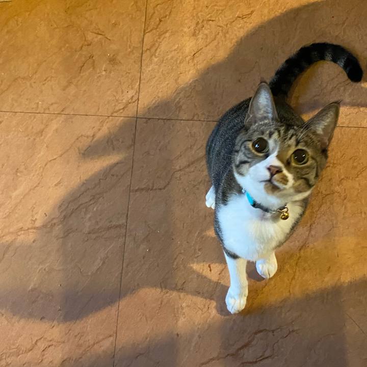 E80ae06a 03ef 4ac4 87ef 5995a3e7d10e 1695631965265