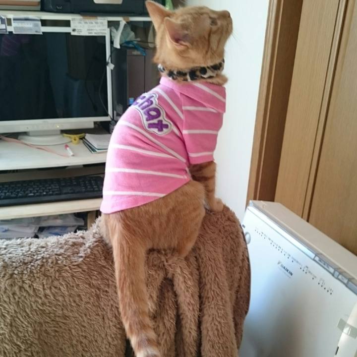 E80b092a 7bc3 4d34 98d3 66b43f2faa51 1543114243869