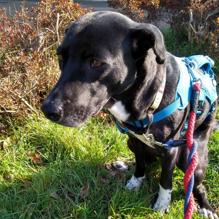 E80bbd9e 26c6 4d1d 95b9 903f63a60f7e 1616545370684