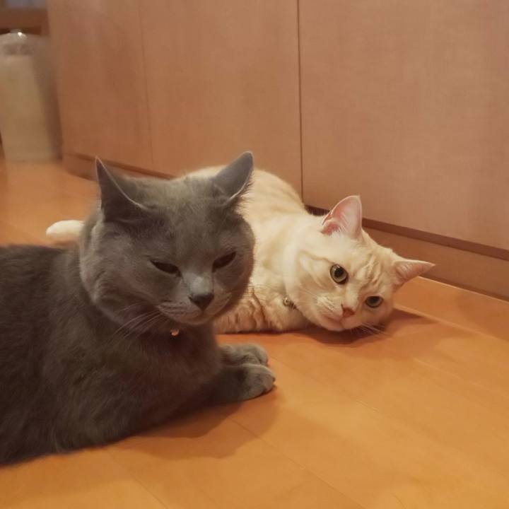 E80c0112 4d35 448d aa9c 018e1e7fa071 1562042619502