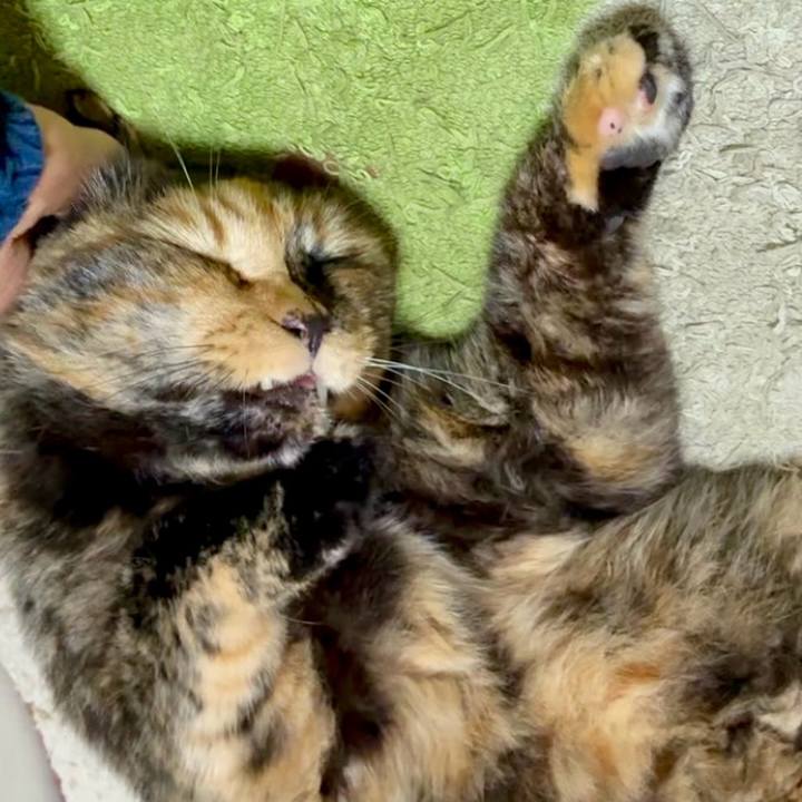 E80c074b a39c 4878 936e 5084fb592279 1751199471883