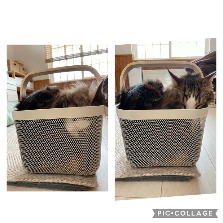 E80c3c93 b97a 4ba6 b051 545414e016d9 1685241398777