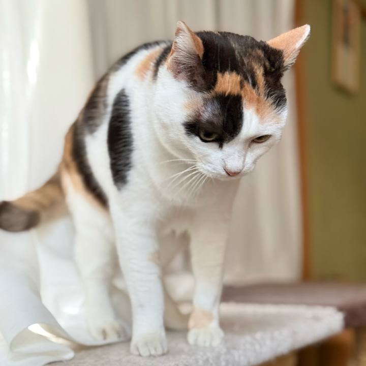 E80c973b 32b4 4265 a3cb bc8d676742ff 1737250292034