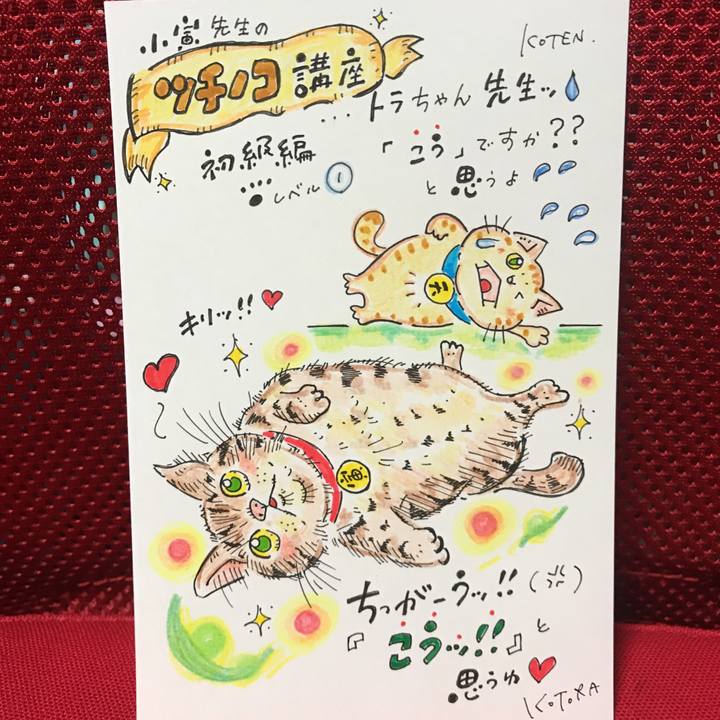 E80cc1da 0a43 434c b3c4 1e322f3f7e91 1568644049001