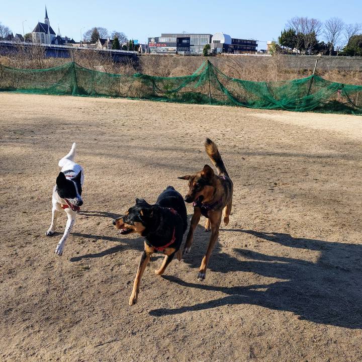 E80cf830 5855 4a7e b75b b7535350f32c 1740791227677