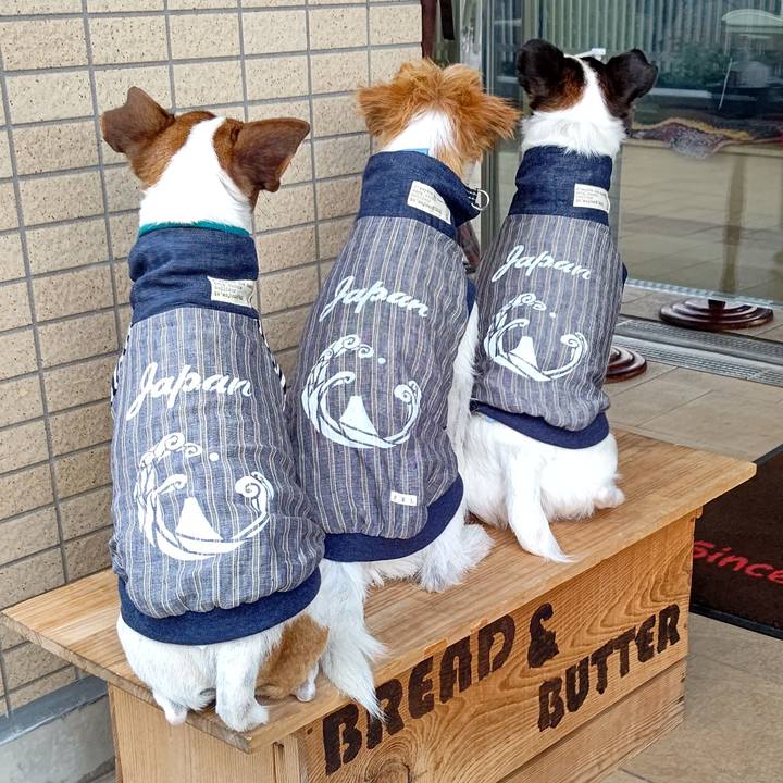 E80d3edb 7feb 4ad4 aa10 c92dd7f8a1a5 1692782353387