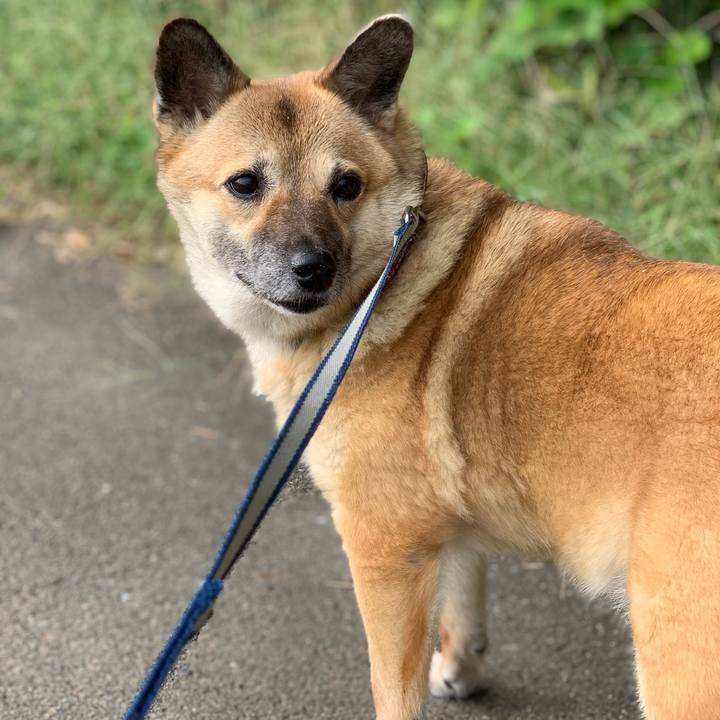 E80d5506 734b 4b5b 837a 6c823060d7b0 1537918794561