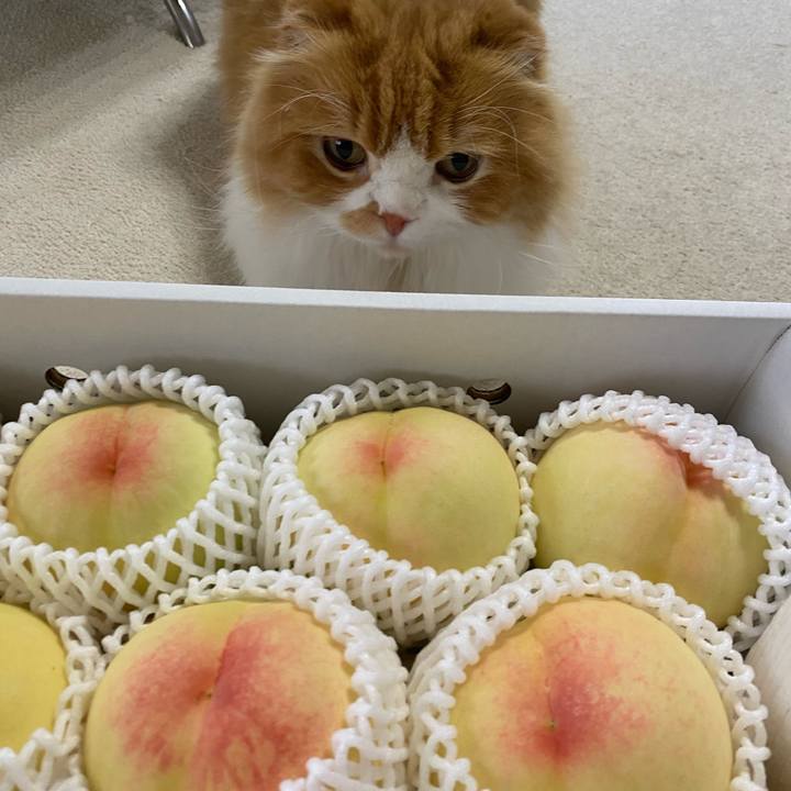 E80d5bc6 5c45 4856 a2a0 9d7a83837670 1658545541273