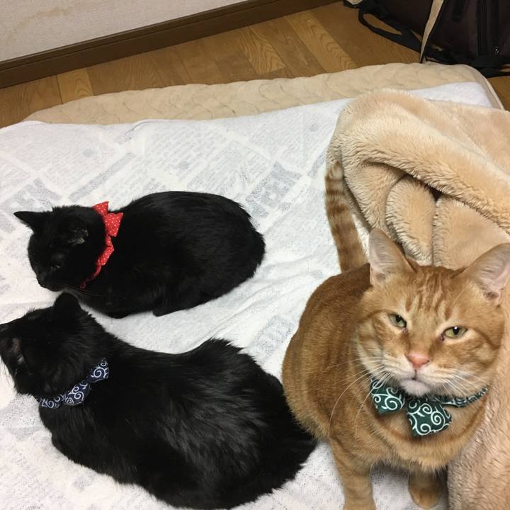 E80d7b6b 36b7 4887 b196 dcbe1568a952 1549061573927