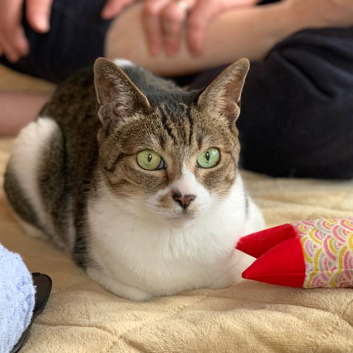 E80d80bb b81a 4613 ab35 e55baa1ed093 1588726872994