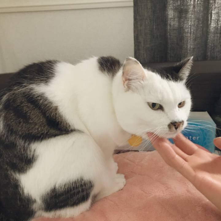 E80d9527 f85c 4a5b ae9b be96b7df6dee 1521547661718