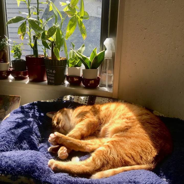 E80d9b46 450e 4818 a140 517f16ae3caf 1615954950908