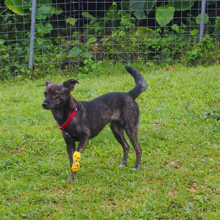 E80db34b 98e2 4fae 9b2b 4051194f7afb 1539322574236