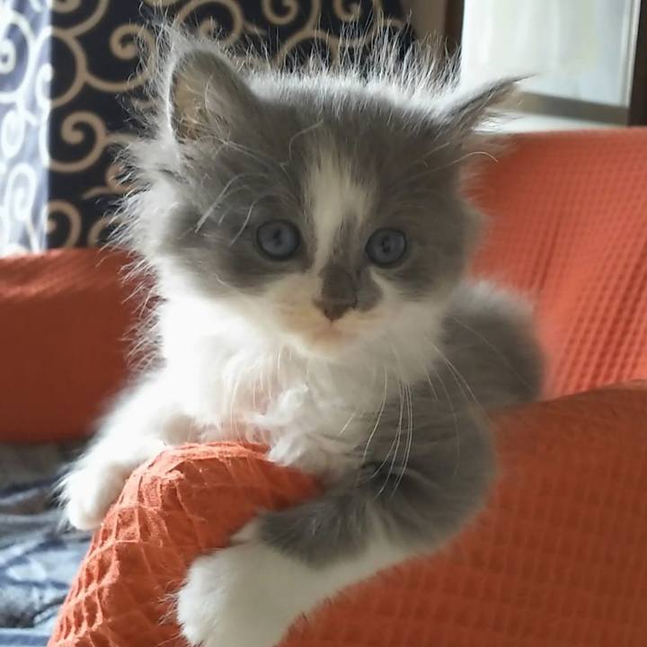 E80de124 6bf2 45bb 879f fccd9ffda37d 1559098669300