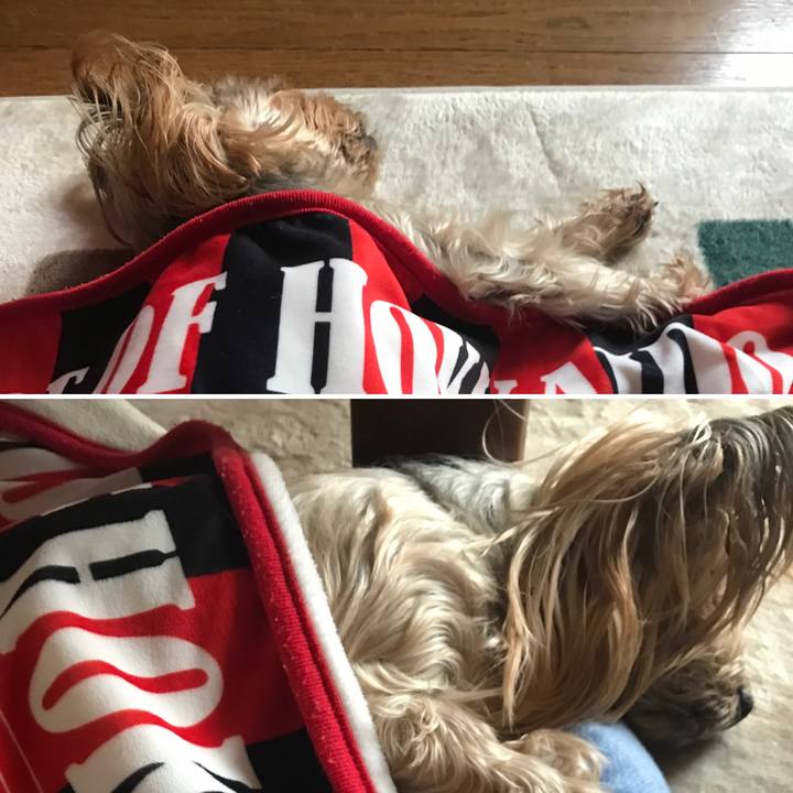 E80dfc6e 74ed 453d 9764 6015623ca1d1 1633342110530