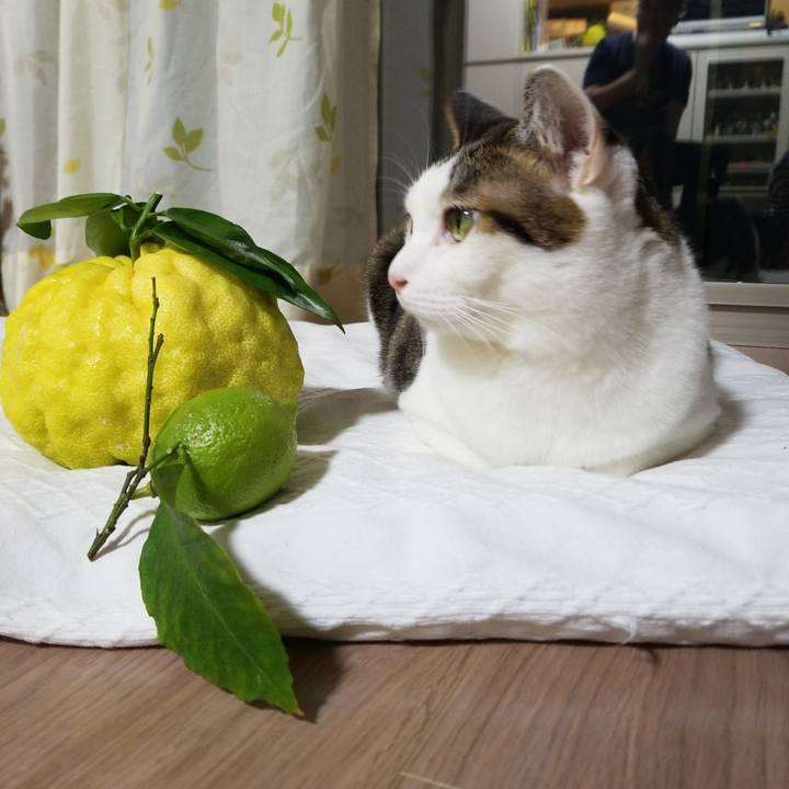 E80e0eea 38dc 4a16 abd2 8756536472a2 1572681962797