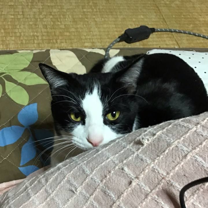 E80e1bf5 7986 4a3a a5d2 c468ec1126b1 1672834381174