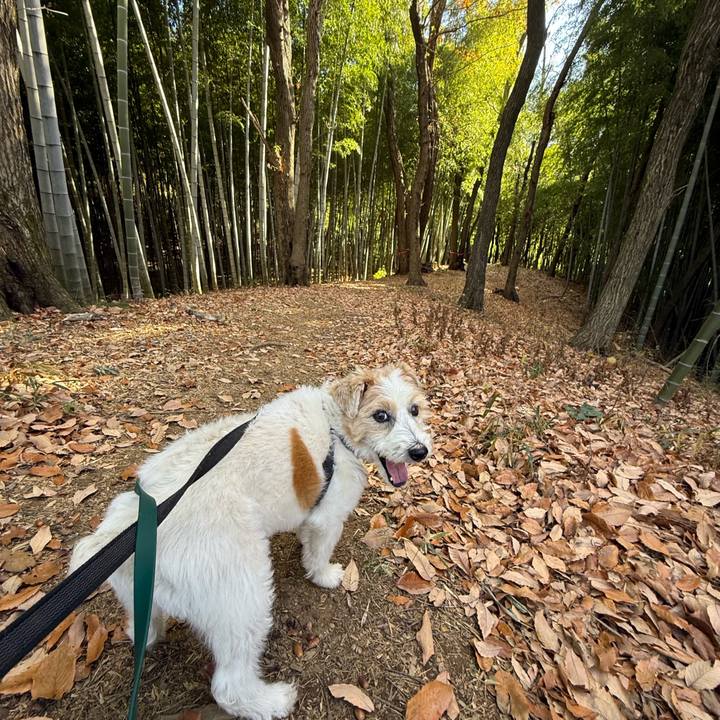 E80e1e1c 5f9b 434d ae00 eb0d1361c991 1766029349559