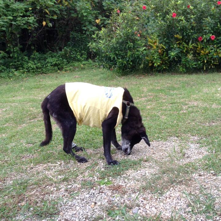 E80e98fb 64ad 4d58 8e15 988f34020e48 1509067342647