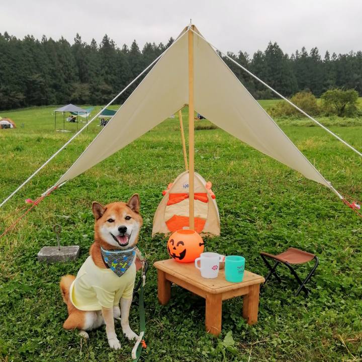 E80eaf6b 048a 4730 a6b9 3d88d7d57d20 1633868786999