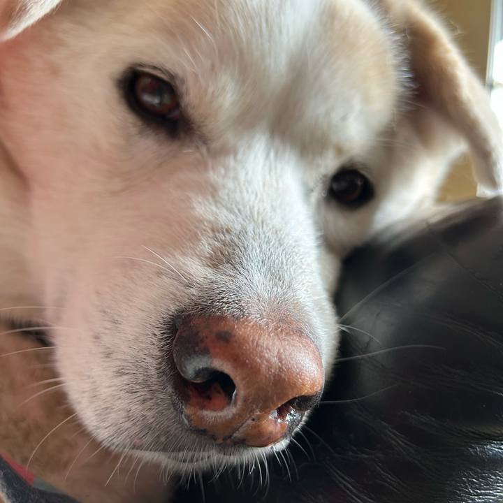 E80ec084 63bc 4694 abd3 f521c46244ee 1738409414464