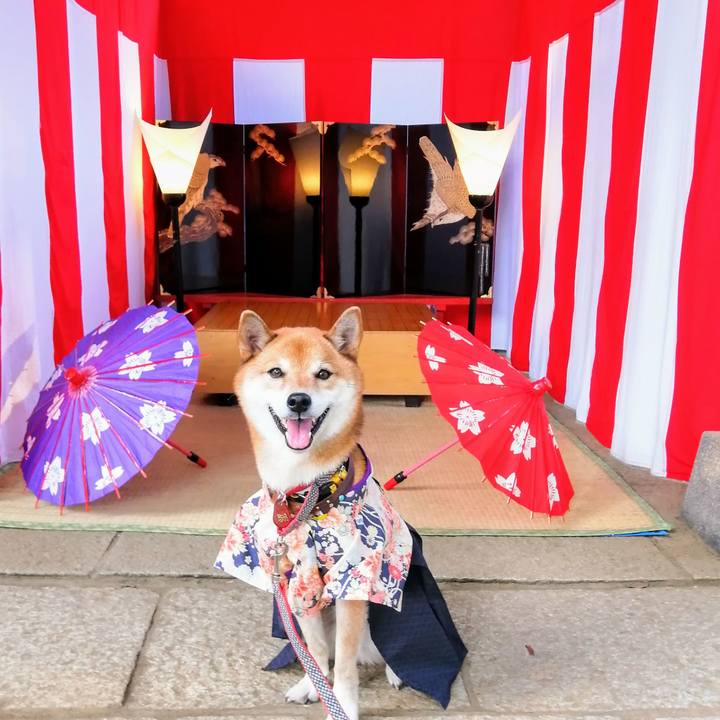 E80ef6e7 d8e7 433d 8b60 de59c6a5d5f7 1605424785875