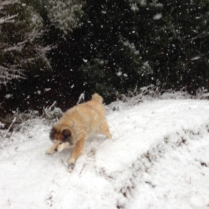 E80effeb d079 4be4 ab39 2eb3cb0117df 1570334299382