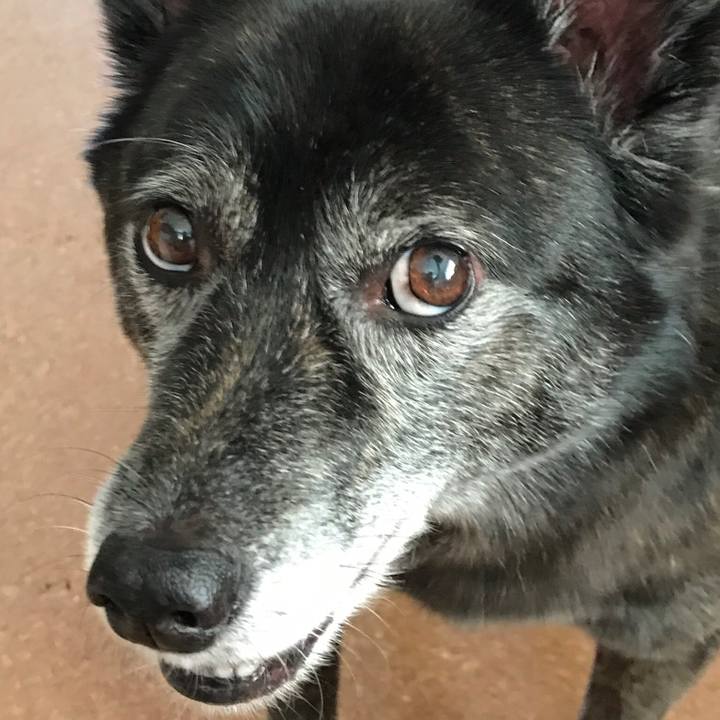 E80f0a4d 6cb7 49cb 9c57 9675c4732e6a 1527764721355