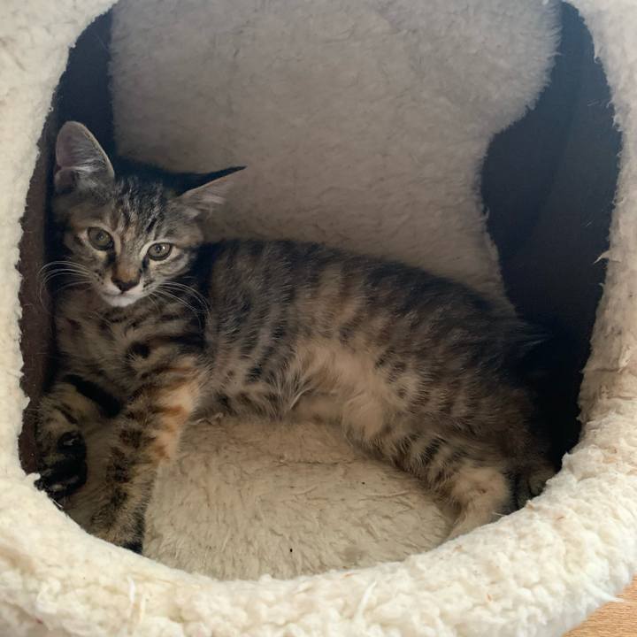 E80f12cd d5bb 4817 8265 d712c4174454 1591505157644