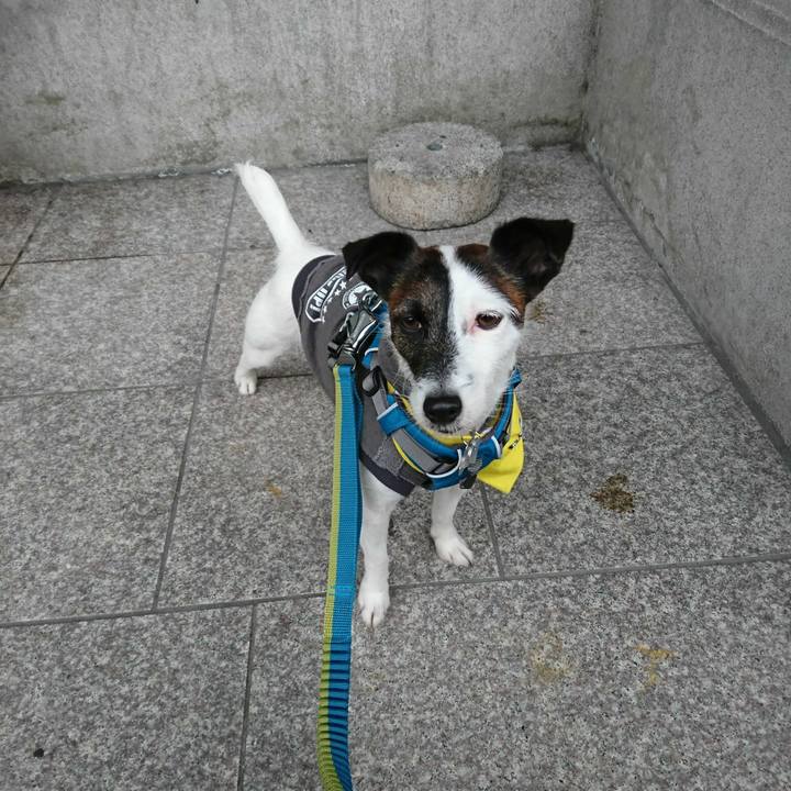 E80f1949 0c31 4854 8ec5 47b2791197cb 1510968045266