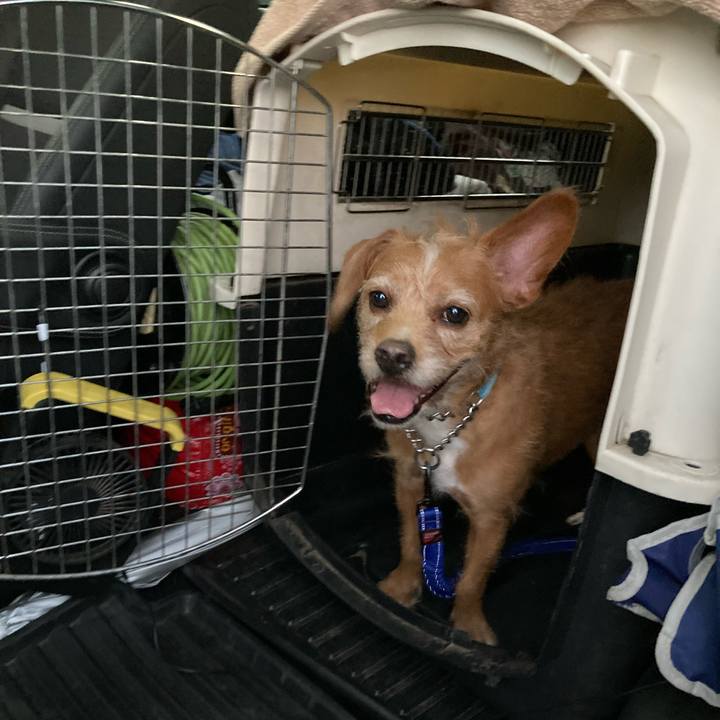 E80f3a35 bd1d 489b 9ea8 53c5de4ec94b 1635499584780