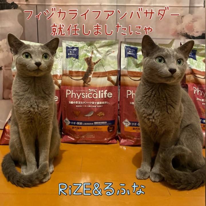 E80f7065 0b7e 4a7c ade5 9bfb162ad650 1727694746766