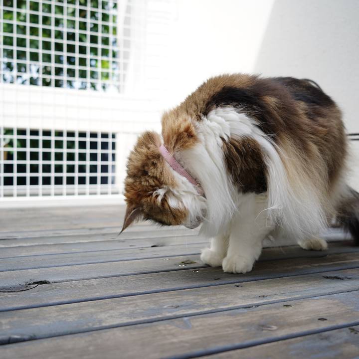 E80f7782 4eae 444c 854e d3cabeae82ae 1661763588825