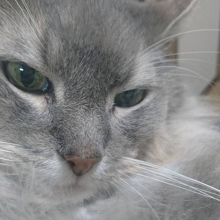 E80f7df3 7be0 4787 b00d 10f44eead670 1754946469570