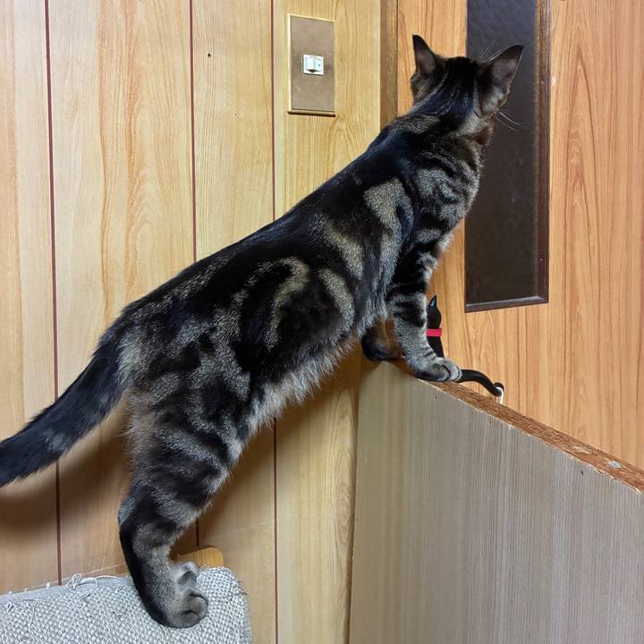 E80f7df9 2cd6 4c29 b0ba 03614f6efc7c 1755550441790