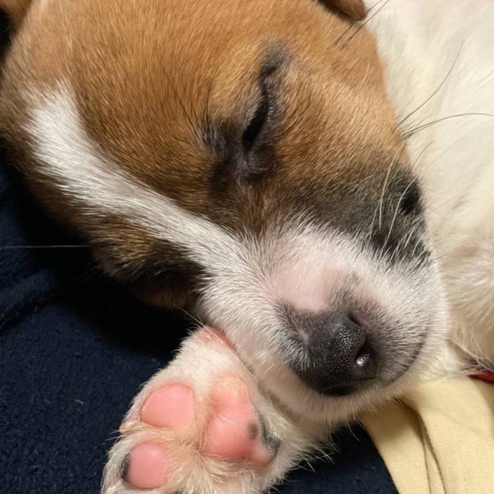 E80f9b6b 3d96 4be4 8a35 aae53eeaafe3 1773544230932