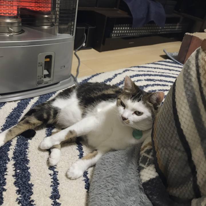 E80fbc8b 70dc 4731 834c 3c2d41408d31 1550476624045