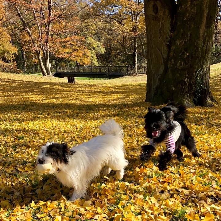 E8103041 c886 492b b97c 237eaa4f598e 1543964782598