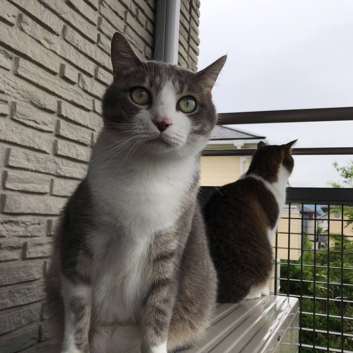 E8103308 1530 4f6f b449 d66db7a9d091 1556677008337