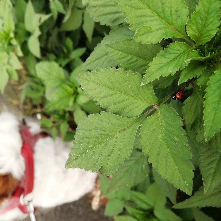 E8105c49 c5ac 4f21 a65a 6cfbb45a2036 1599218873969