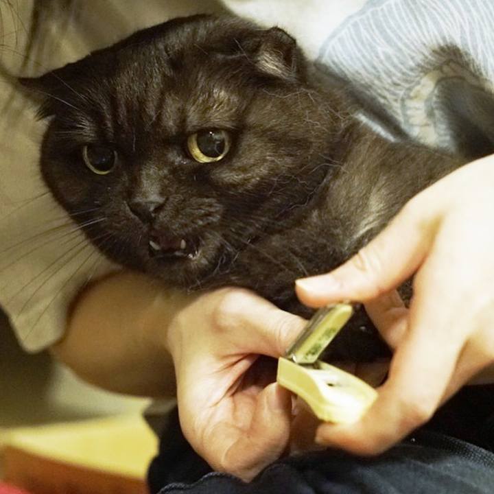 E81063e7 b0ef 4339 8580 3be5a165e5bb 1572450463035