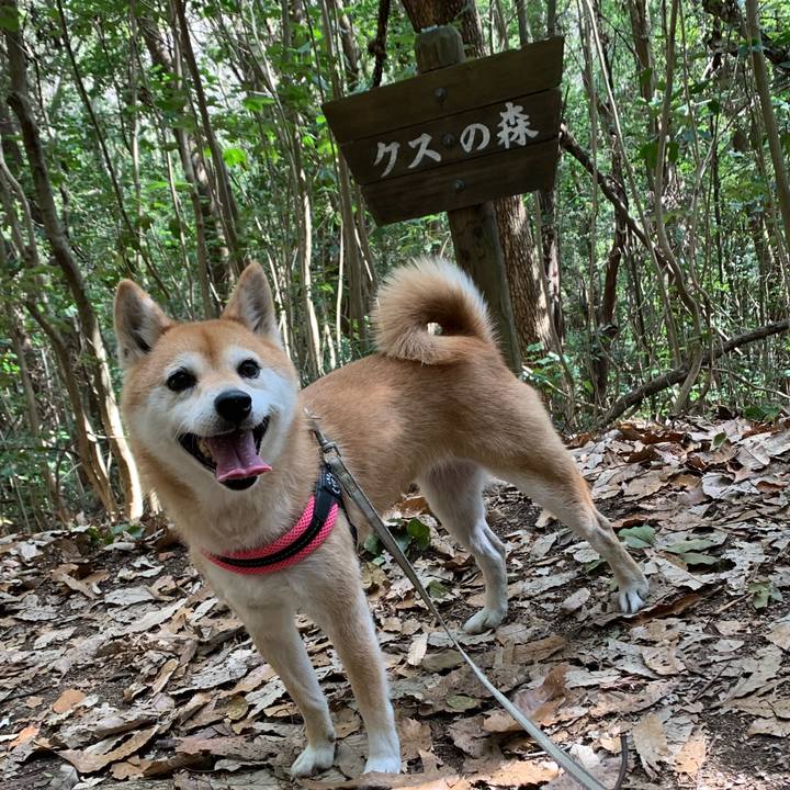 E8109654 40b3 4843 ac1c 56f80c0ec74d 1579502611347