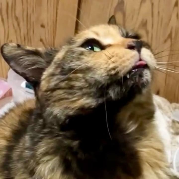 E810f061 2f1c 4410 ab43 e29553ed92ac 1740601698074