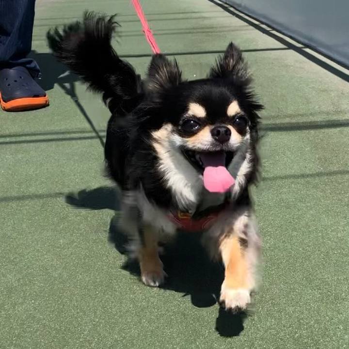 E810fa63 92ba 4904 bef8 c1c02b754296 1592700660766