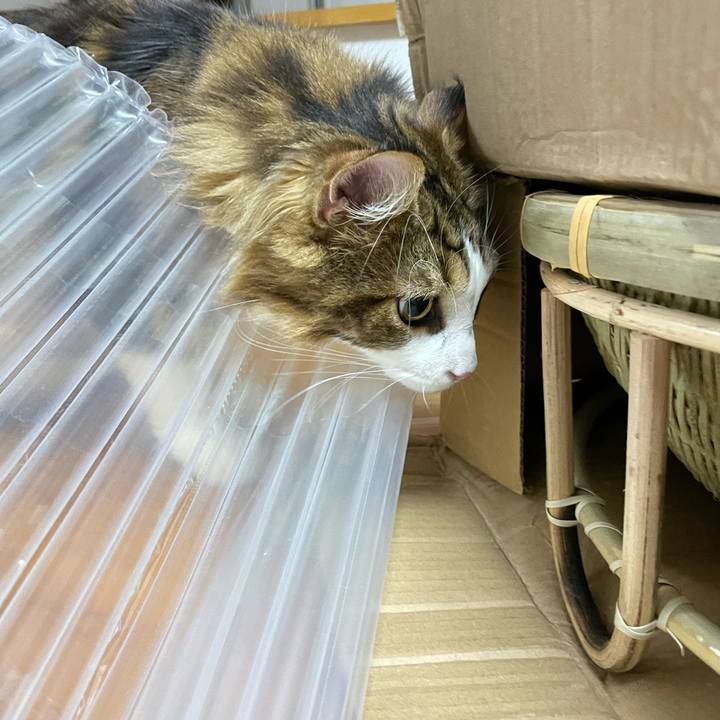 E8110de6 3e5a 434c b5d5 02e6de6fea4b 1658489334656