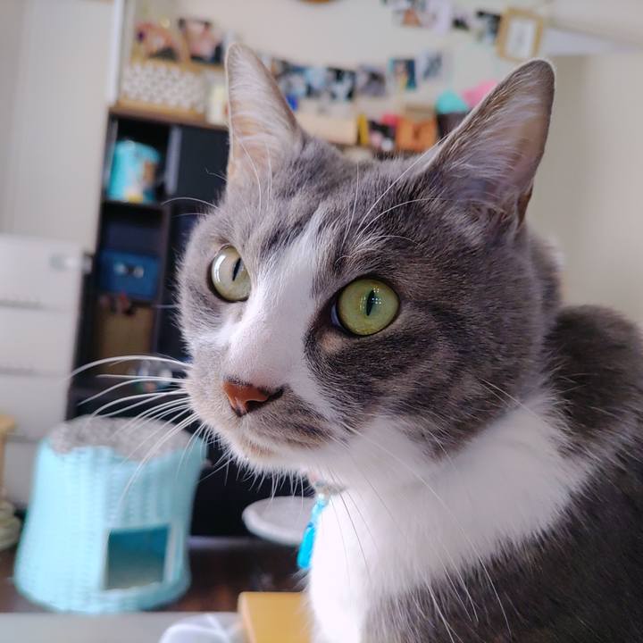 E8115726 0309 4f04 bf74 5c405b3795be 1711770234572