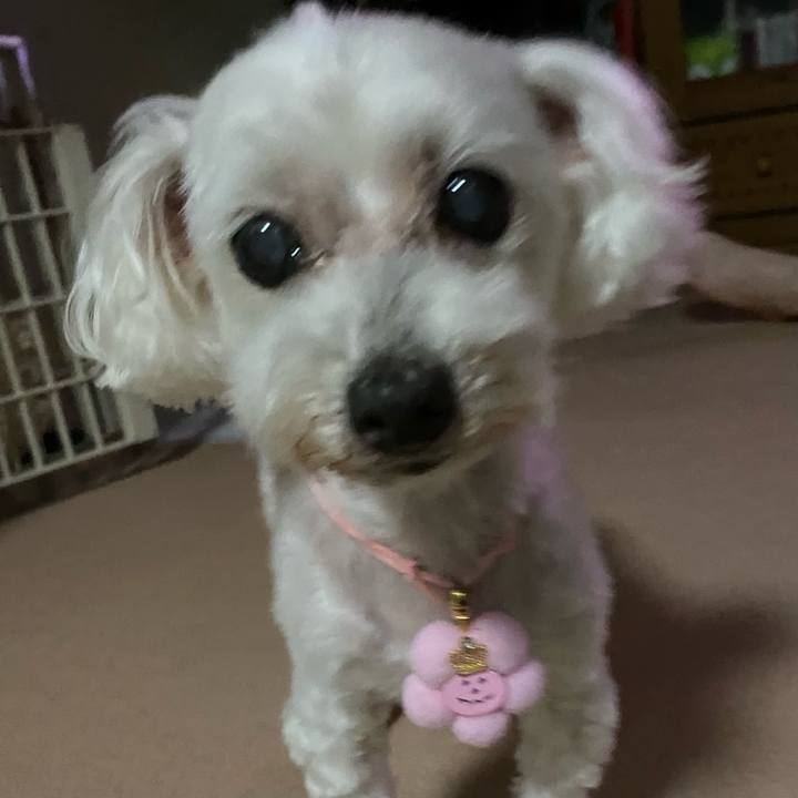 E81160ff 533b 428a a136 076c5f2ab5fc 1758376929075